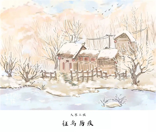 图片细节